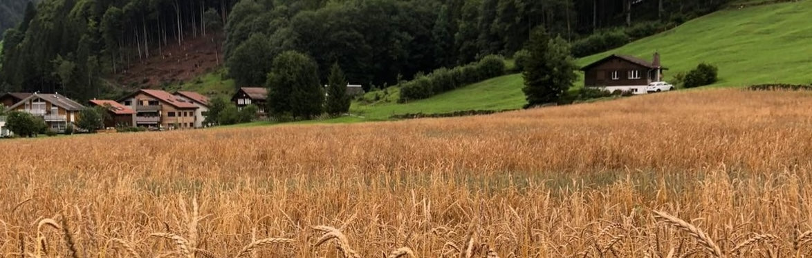 Der Birrenhof: Mehr als Milch und Berge